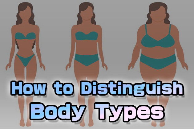 How to Distinguish Body Types